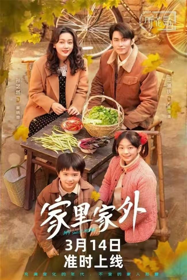 家里家外剧照